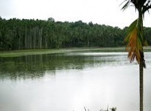 Stock brokers in Manjeri