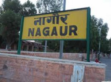 Stock brokers in Nagaur