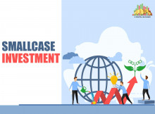 Smallcase Investment